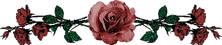 花花边.gif 花花边.gif