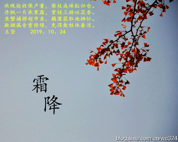 001m5oeLzy7fcTf7KWF45&amp;690_副本.jpg