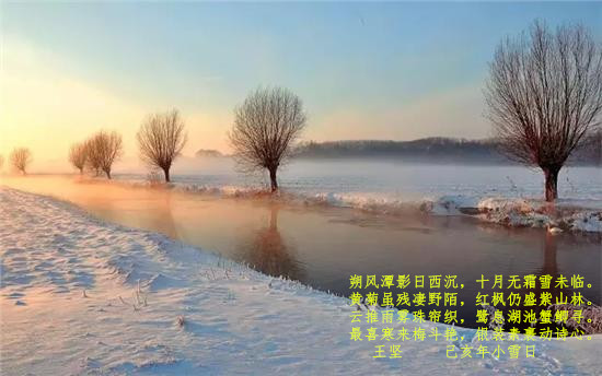 88c17402-a2bf-49aa-b4bd-fa1a461e47a6_副本.jpg