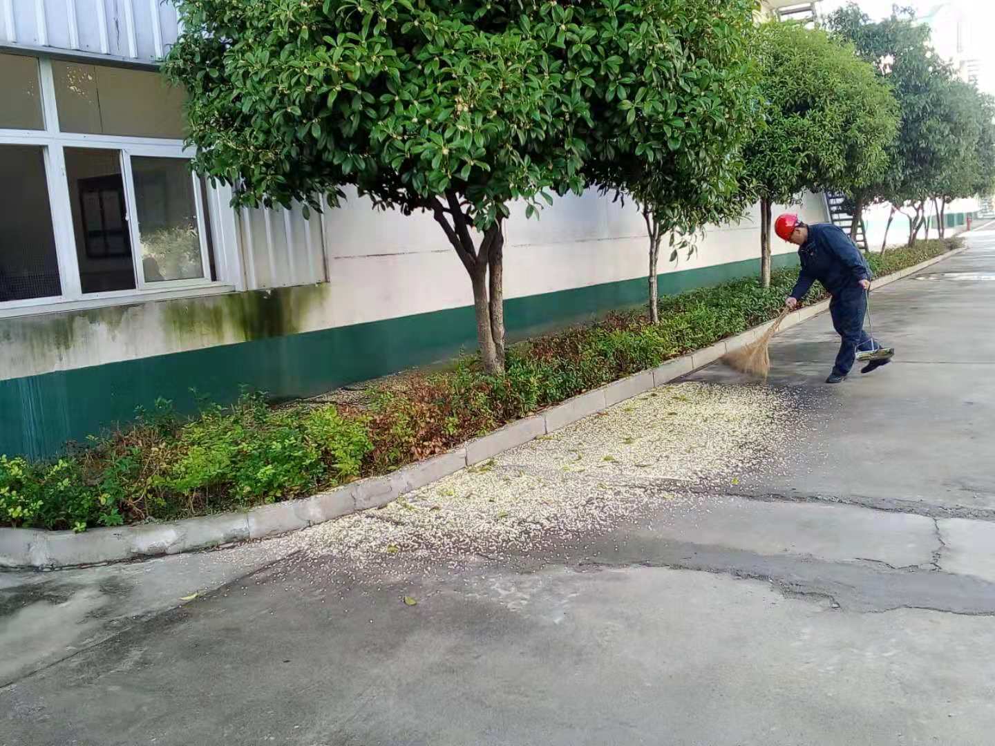 190117097970008993.jpg