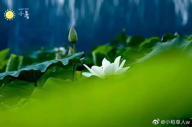 1A96F0EE-133C-446F-978D-FF8B25AE4935.jpeg