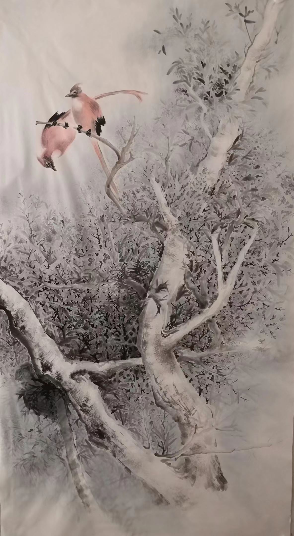 春風盼